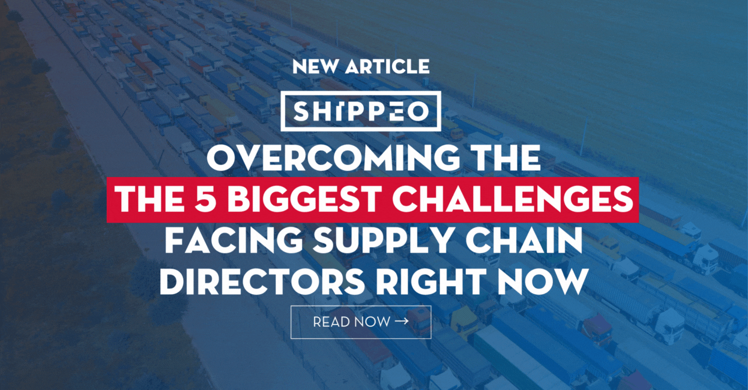 the 5 Biggest Challenges Supply Chain Directors Are Facing Right Now